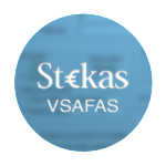 Buhalterines apskaitos programa pagal VSAFAS